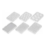 Cell Culture Plate