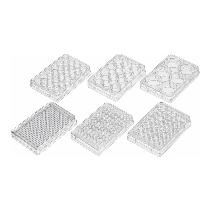 Cell Culture Plate