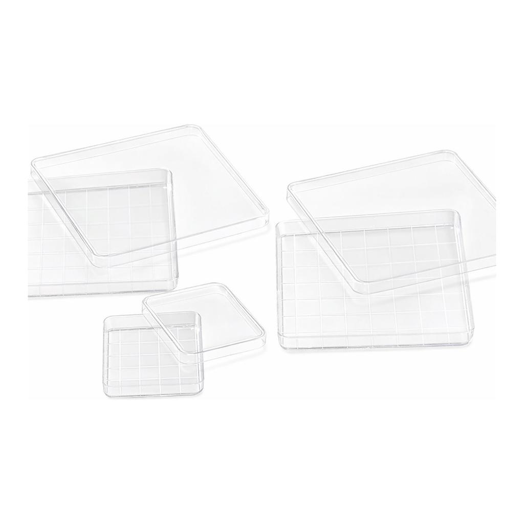 Square Dish
