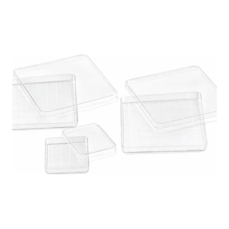 Square Dish