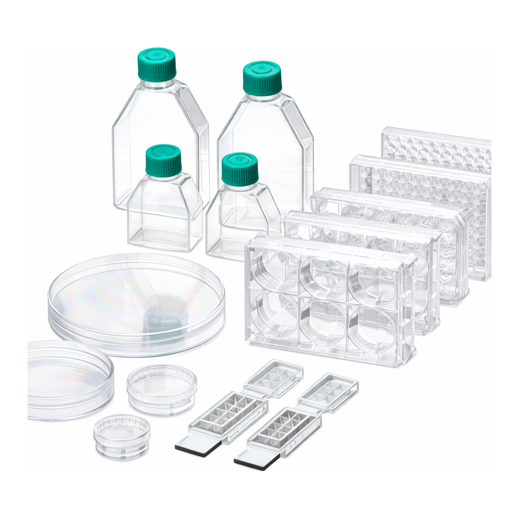 Collagen Type Ⅳ Coated Ware