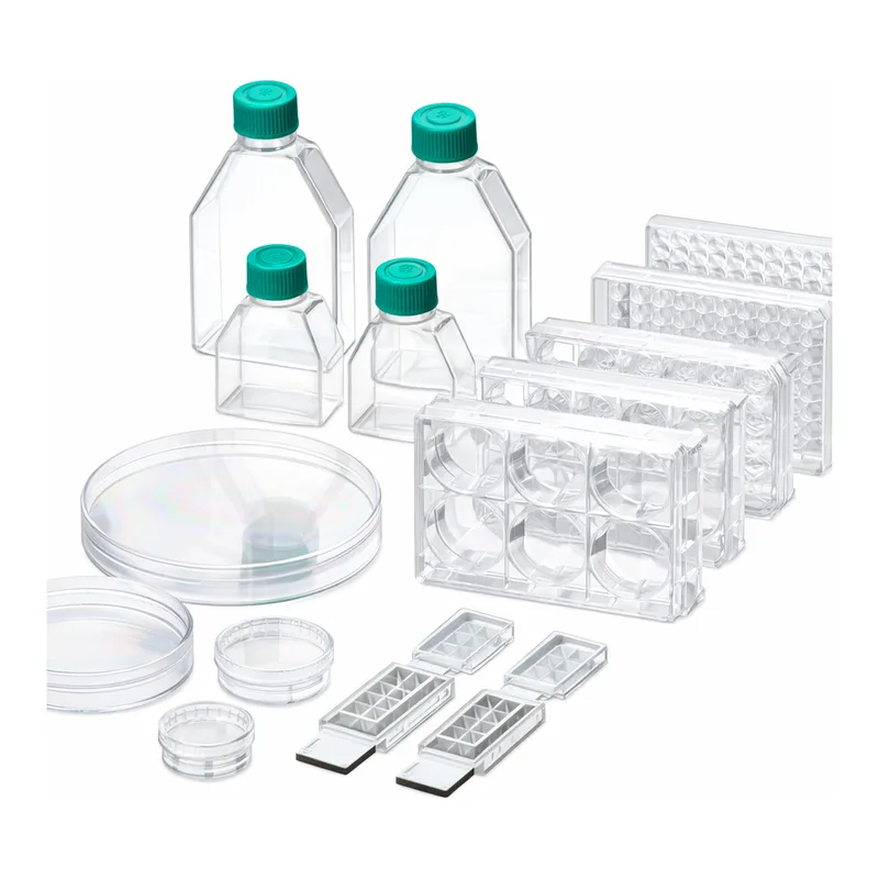 Collagen Type Ⅳ Coated Ware