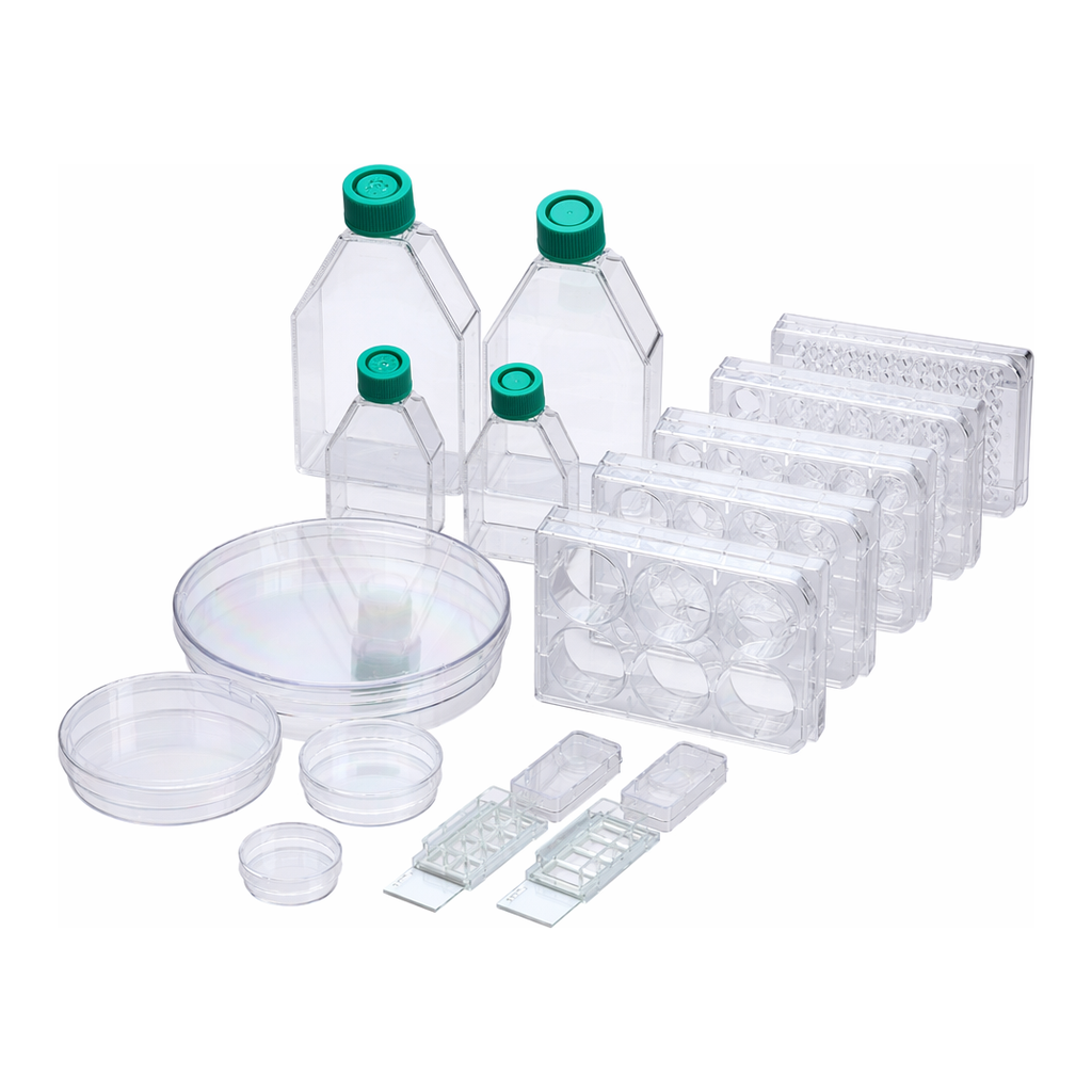 Collagen Type I Coated Ware
