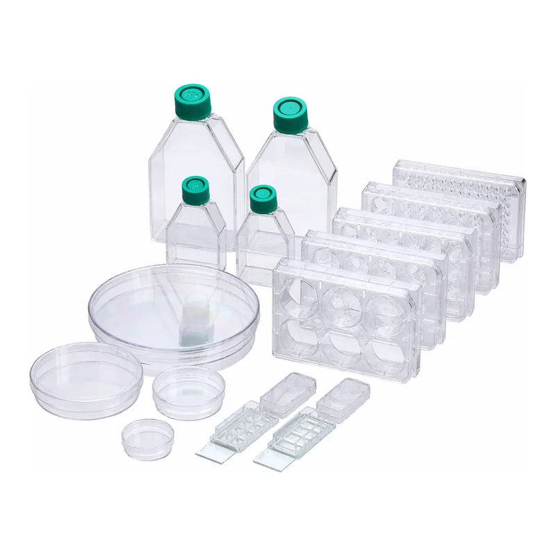 Collagen Type I Coated Ware