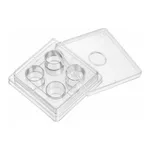 Cell Culture Plate 4well