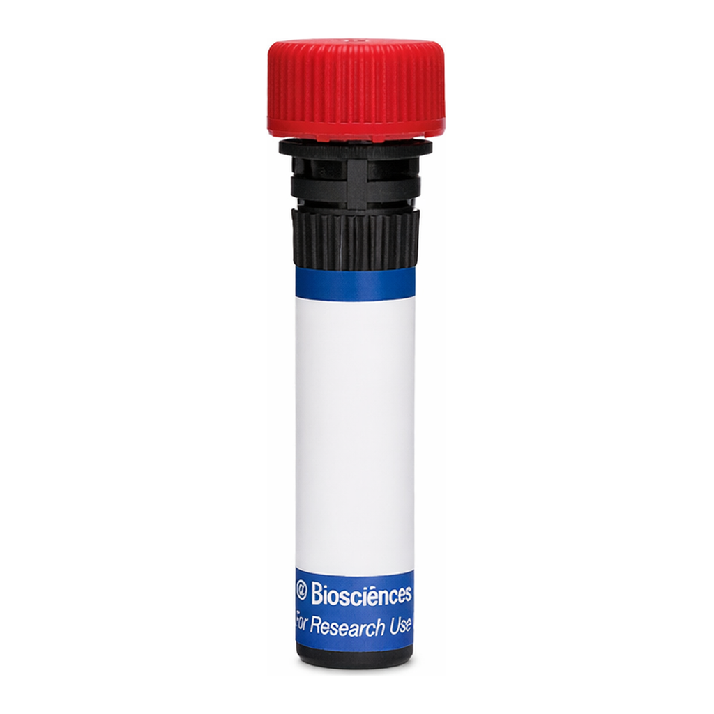 BD RB670 Mouse Anti-Rat Fcε Receptor (FcεRI)