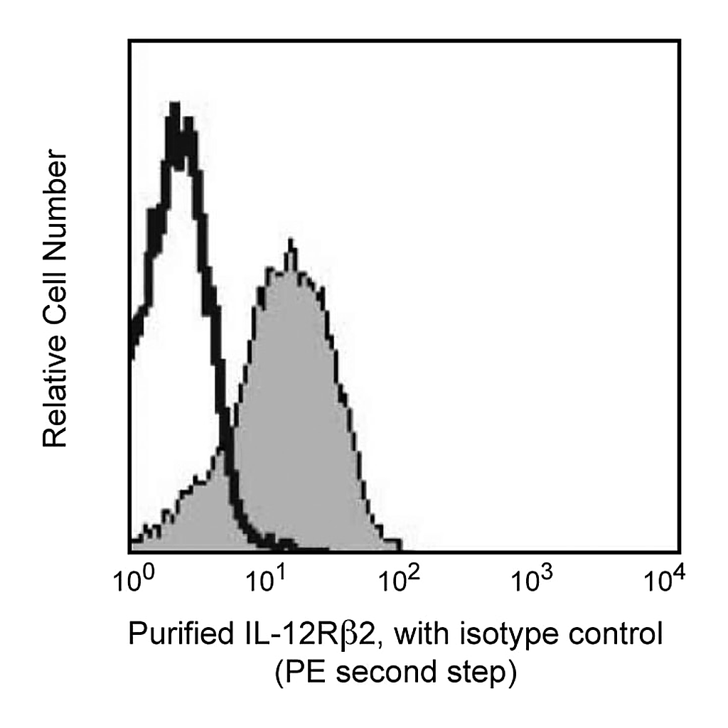 BD Purified Hamster Anti-Mouse IL-12 Receptor β2