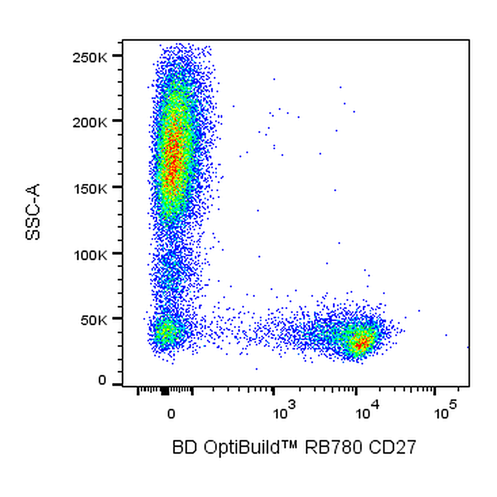 BD RB780 Mouse Anti-Human CD27