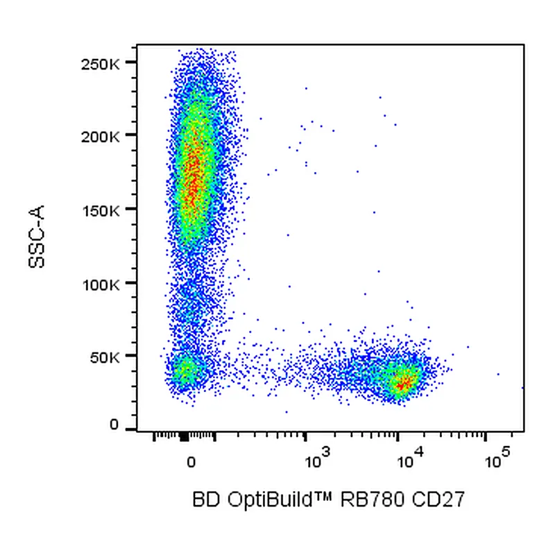 BD RB780 Mouse Anti-Human CD27