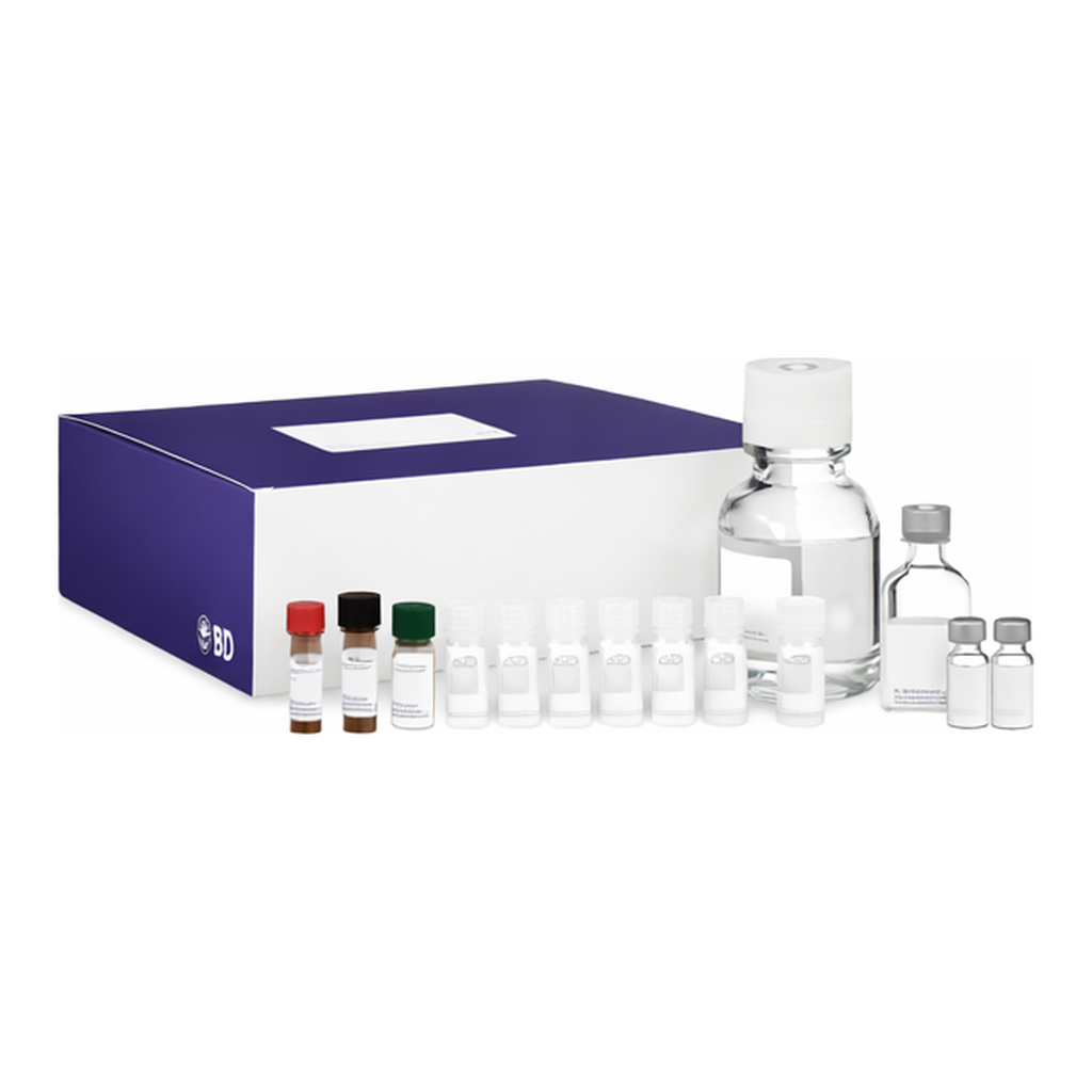 BD Human Th1/Th2 Cytokine Cytometric Bead Array (CBA) Kit II