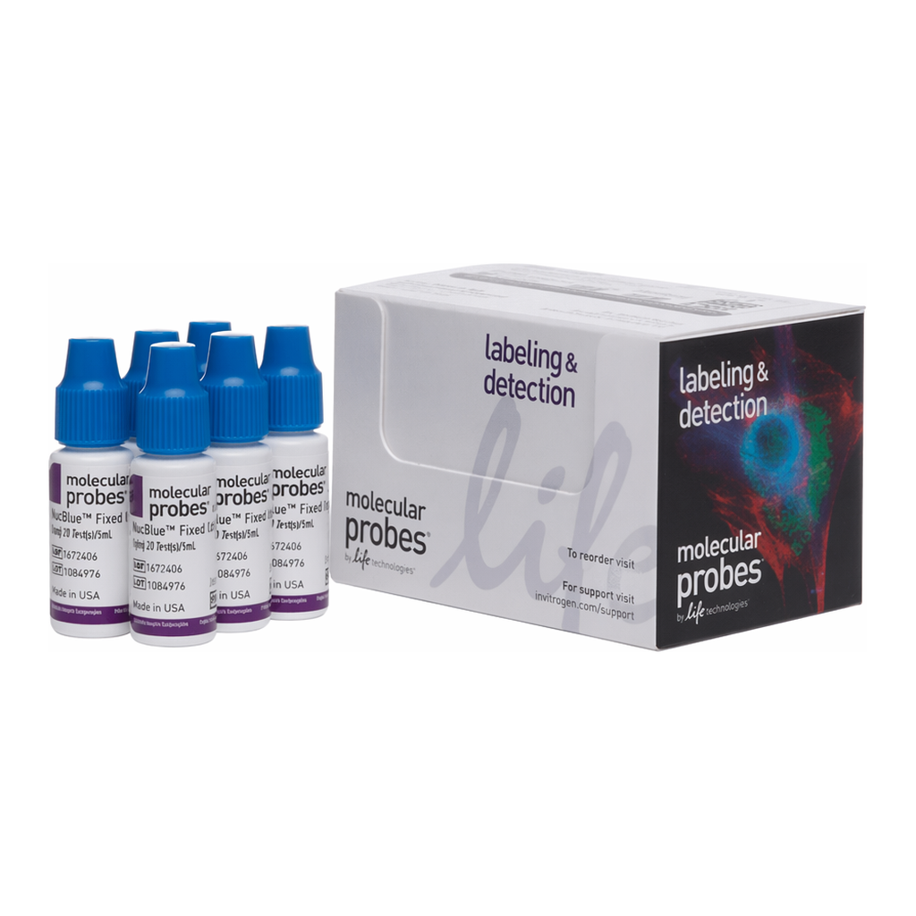 Thermo Fisher Scientific NucBlue Fixed Cell ReadyProbes Reagent (DAPI)