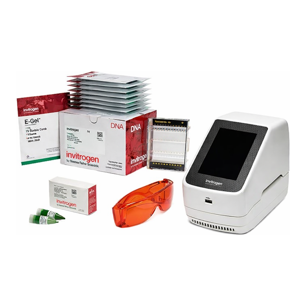 Thermo Fisher Scientific E-Gel Power Snap Electrophoresis System Starter Kit, DC Safe 1%