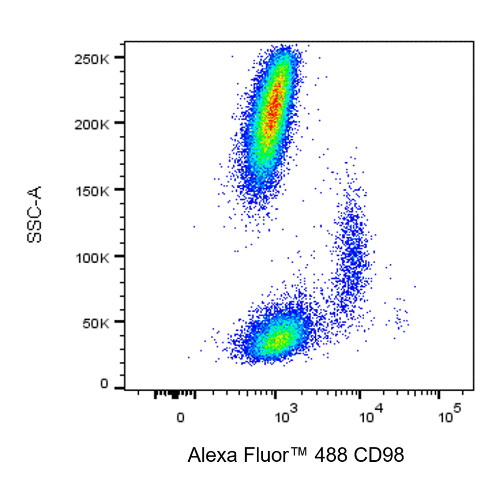 BD Alexa Fluor 488 Mouse Anti-Human CD98