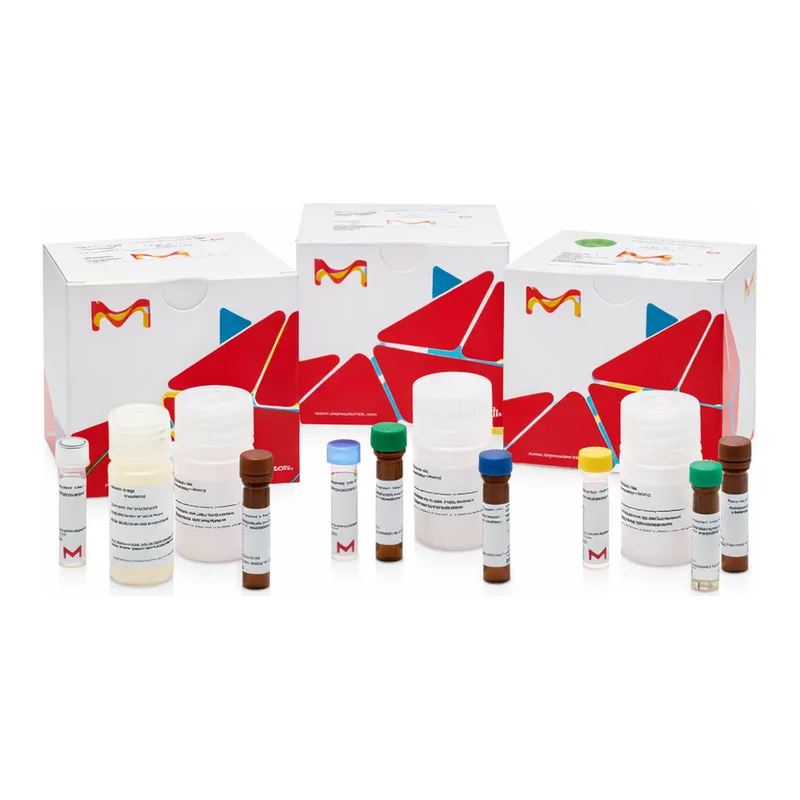 Merck Arginase Assay Kit