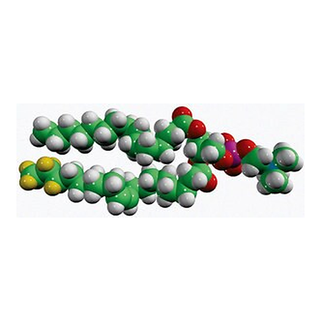 Merck 15:0-18:1-D7-PC