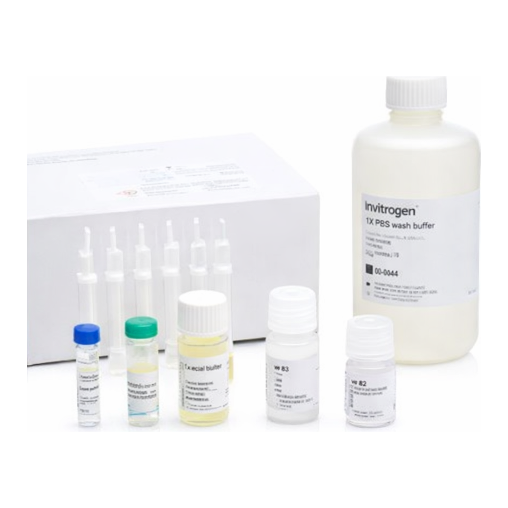 Thermo Fisher Scientific Click-iT Protein Enrichment Kit, for click chemistry capture of azide-modified proteins