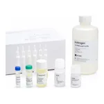 Thermo Fisher Scientific Click-iT Protein Enrichment Kit, for click chemistry capture of azide-modified proteins