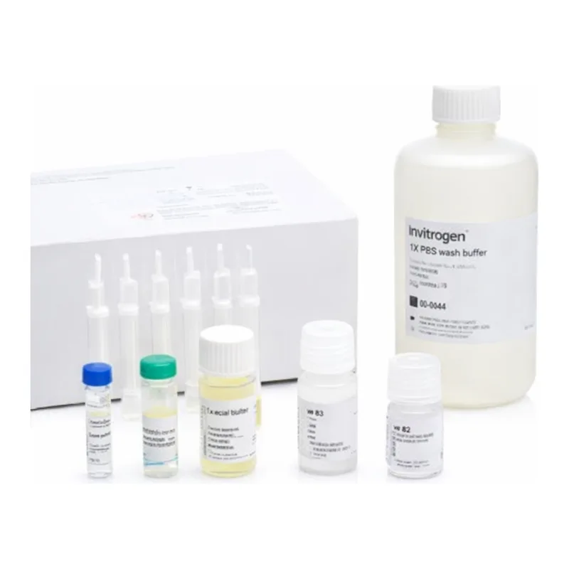 Thermo Fisher Scientific Click-iT Protein Enrichment Kit, for click chemistry capture of azide-modified proteins