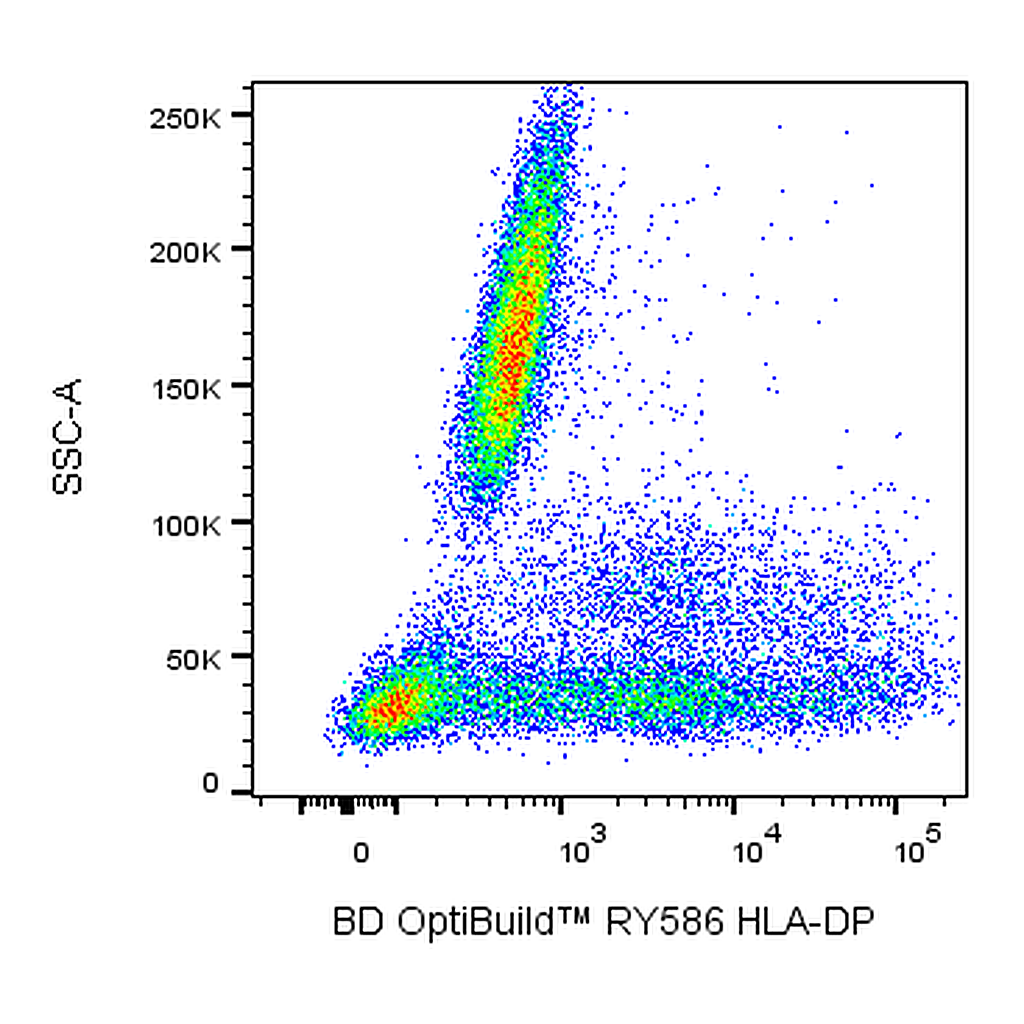 BD RY586 Mouse Anti-Human HLA-DP