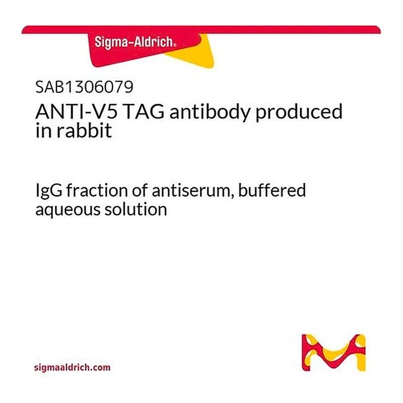 Merck ANTI-V5 TAG antibody produced in rabbit