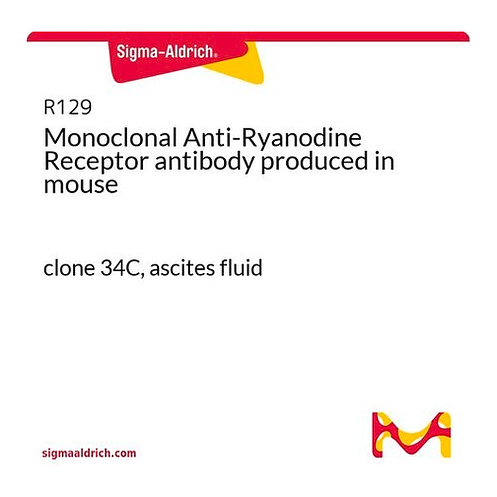 Merck Monoclonal Anti-Ryanodine Receptor antibody produced in mouse