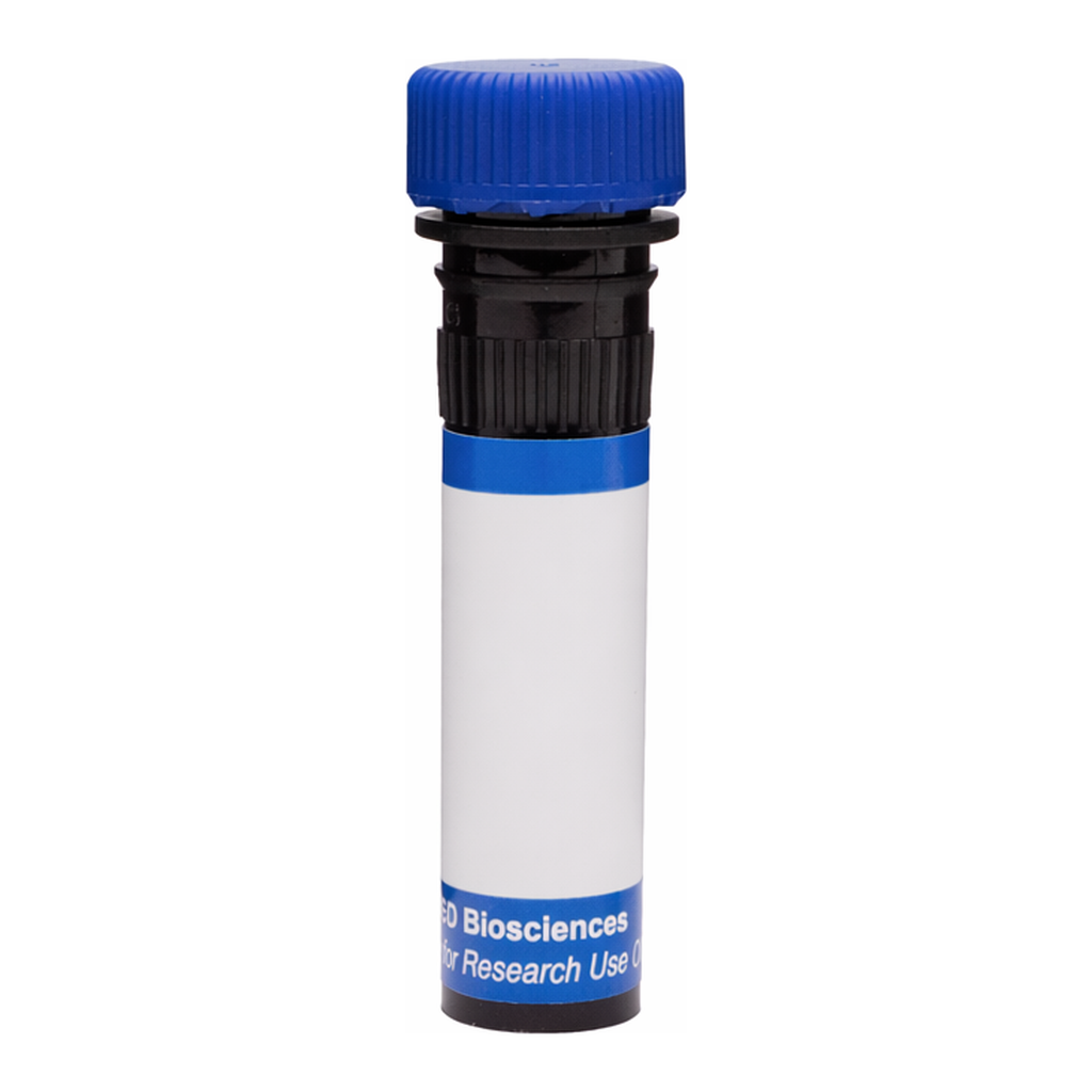 BD RB780 Rat Anti-Mouse Delta-Like Protein 4