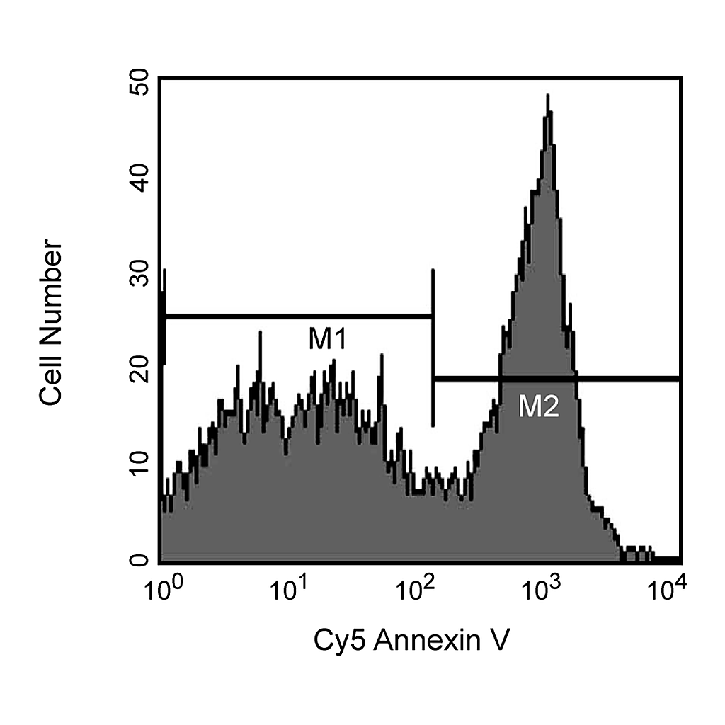BD Cy5 Annexin V