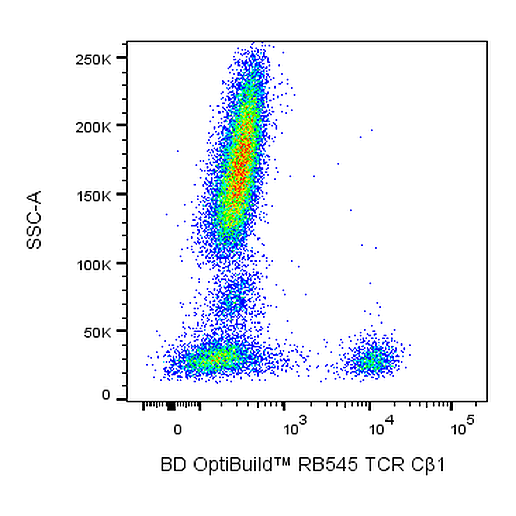 BD RB545 Mouse Anti-Human TCR Cβ1