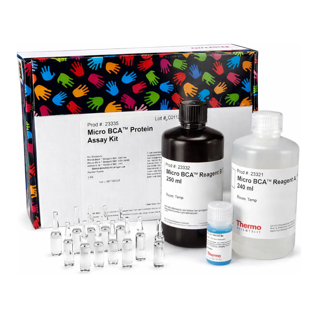 Thermo Fisher Scientific Micro BCA Protein Assay Kit