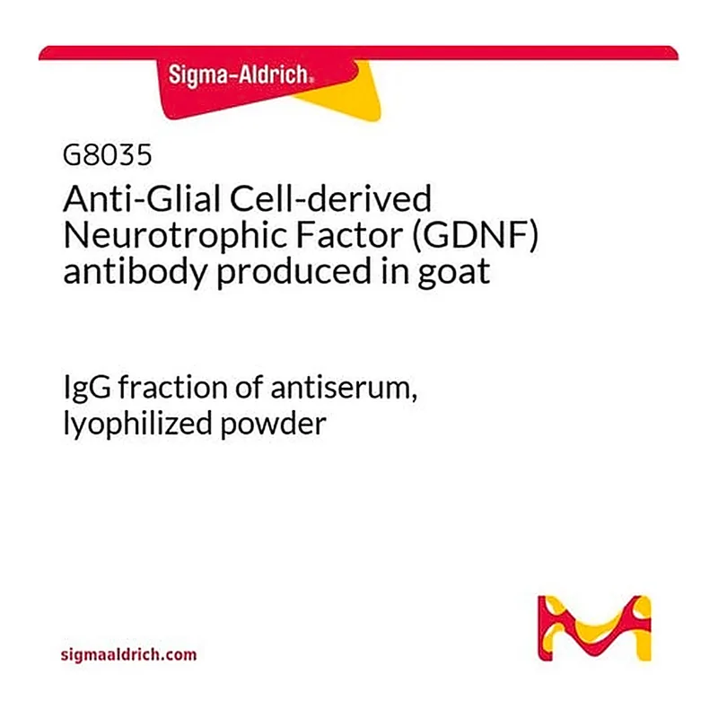 Merck Anti-Glial Cell-derived Neurotrophic Factor (GDNF) antibody produced in goat