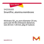 Merck SmartPor, alumina membrane