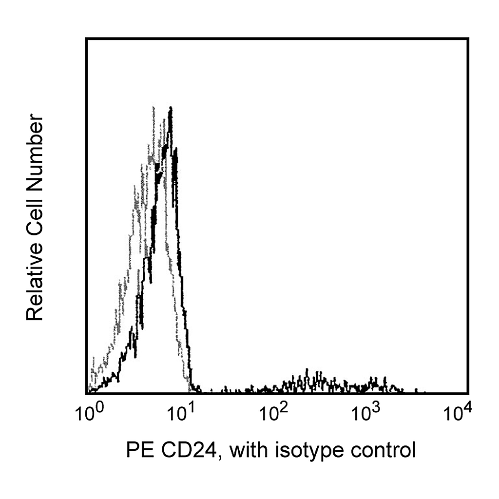 BD PE Mouse Anti-Human CD24