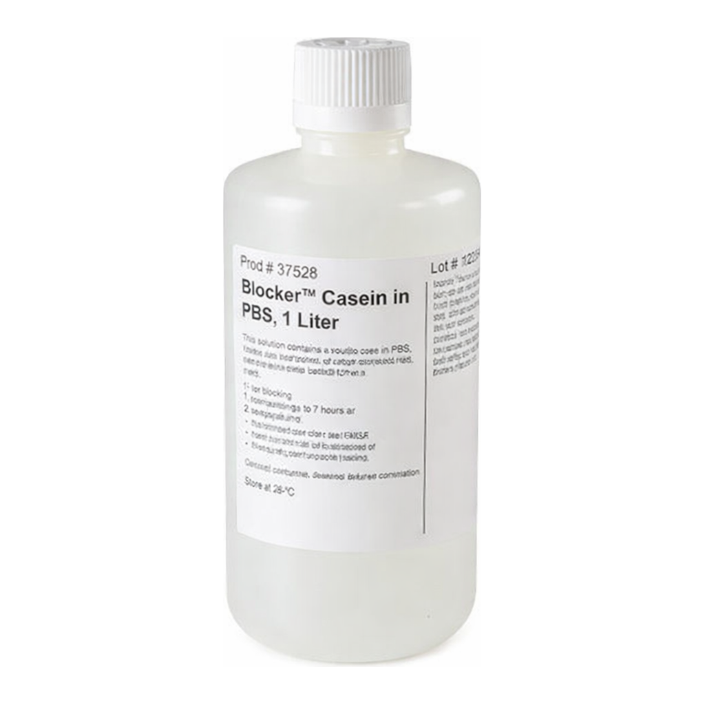 Thermo Fisher Scientific Blocker Casein in PBS, 1 L
