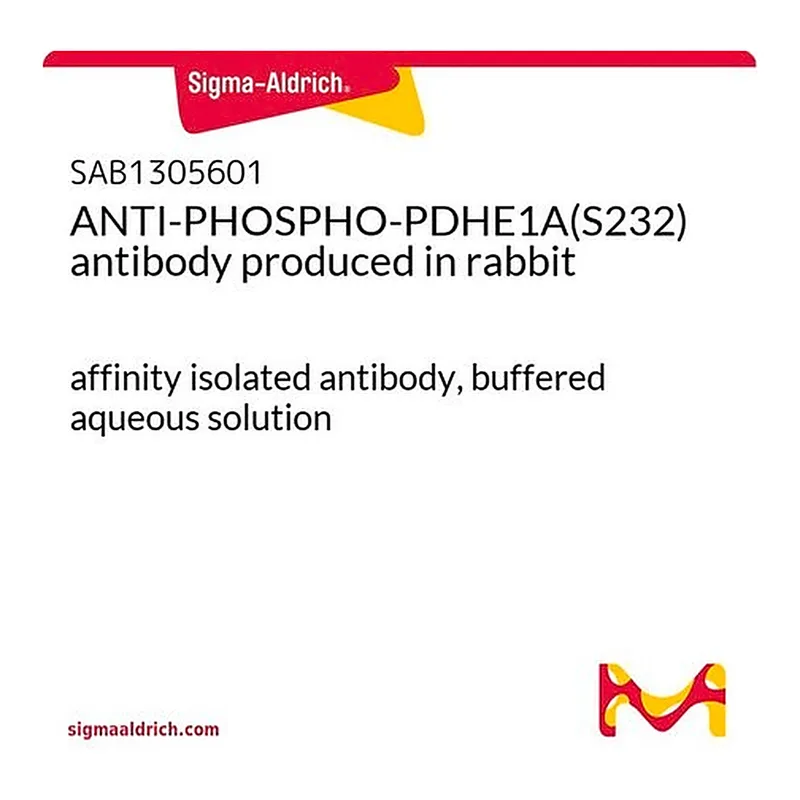 Merck ANTI-PHOSPHO-PDHE1A(S232) antibody produced in rabbit