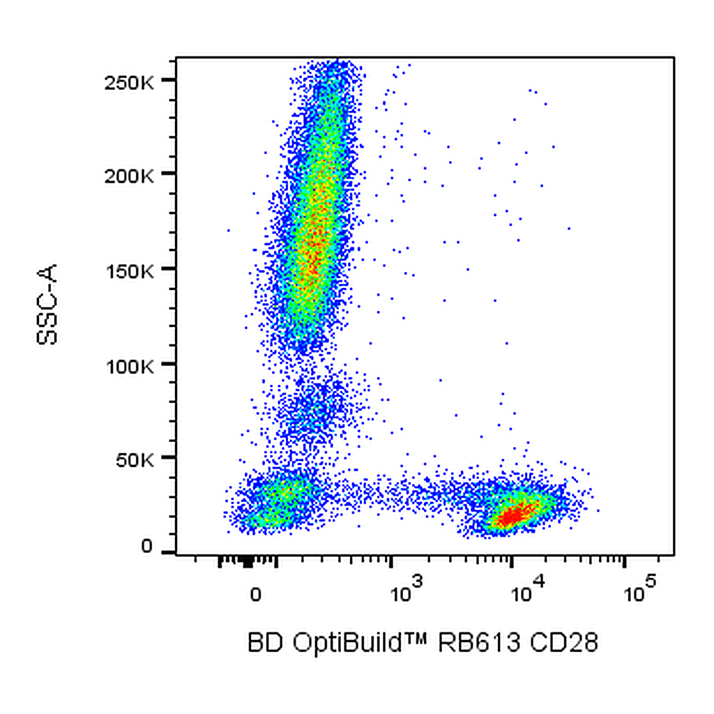 BD RB613 Mouse Anti-Human CD28
