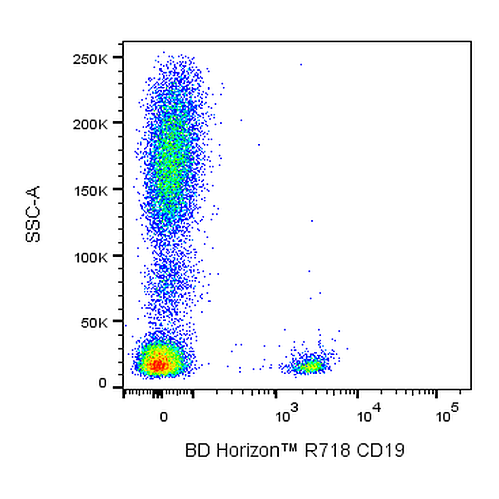 BD R718 Mouse Anti-Human CD19