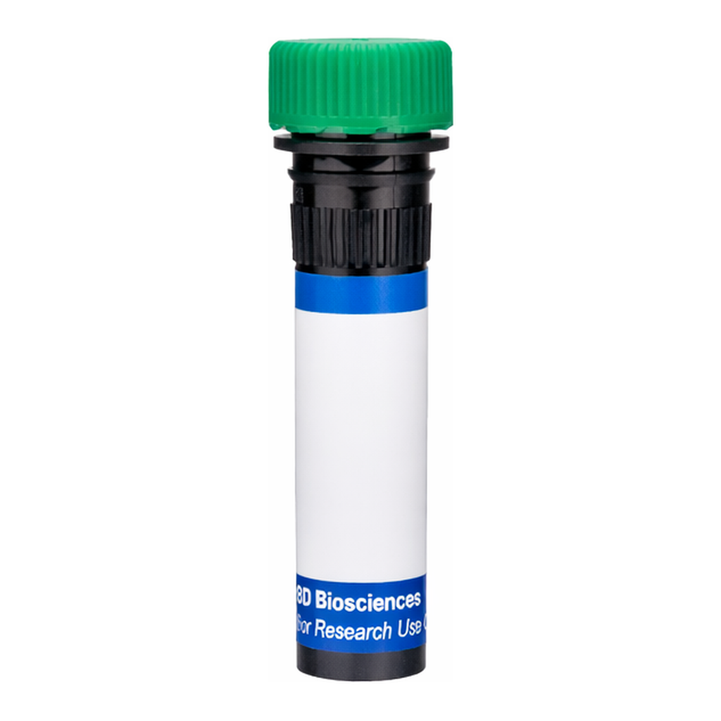 BD RB545 Mouse Anti-Mouse Vβ 17[a] T-Cell Receptor