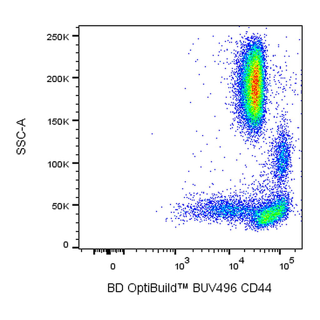 BD BUV496 Mouse Anti-Human CD44