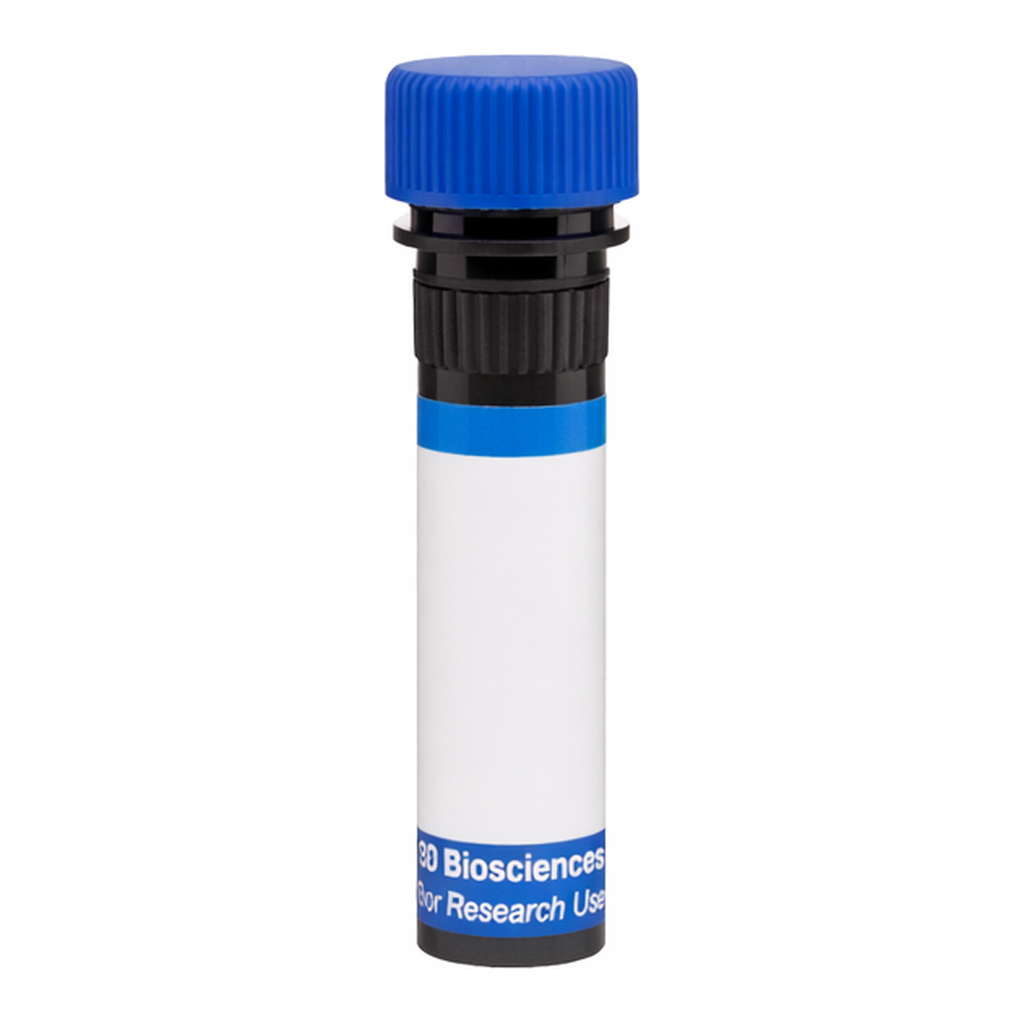 BD RB780 Mouse Anti-Human CD137 Ligand