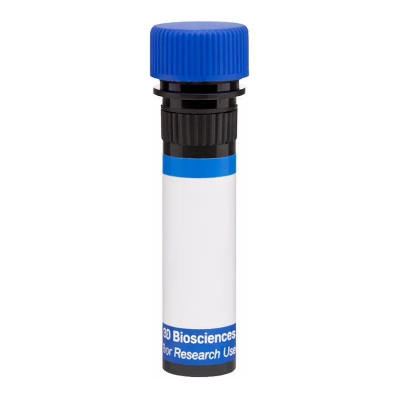 BD RB780 Mouse Anti-Human CD137 Ligand