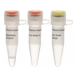 Thermo Fisher Scientific PfeI (TfiI) (10 U/μL)