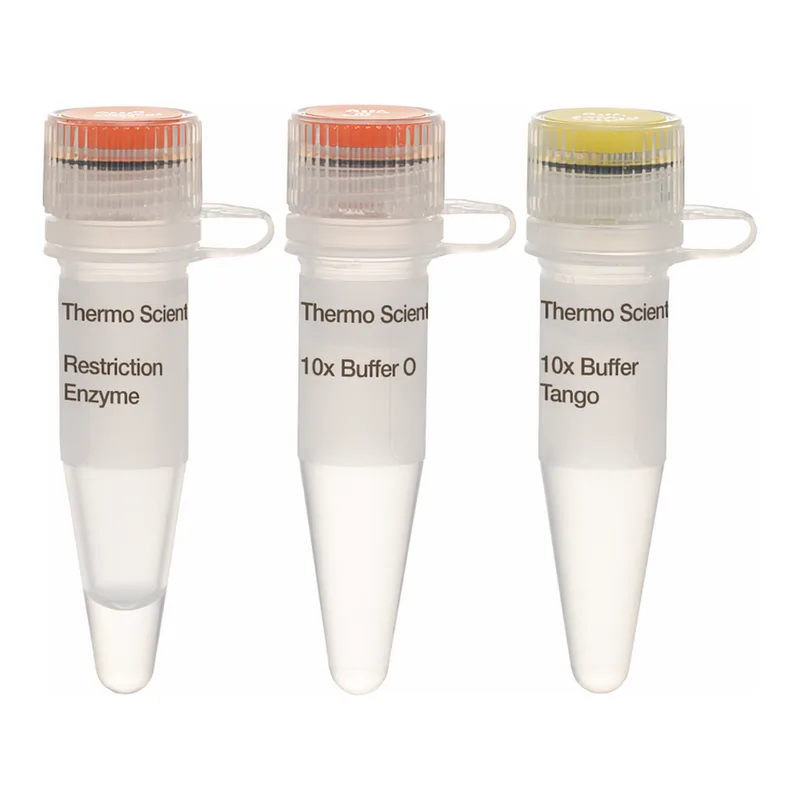 Thermo Fisher Scientific PfeI (TfiI) (10 U/μL)