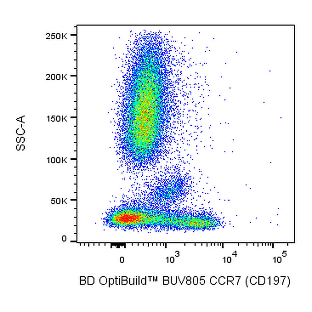 BD BUV805 Mouse Anti-Human CCR7 (CD197)