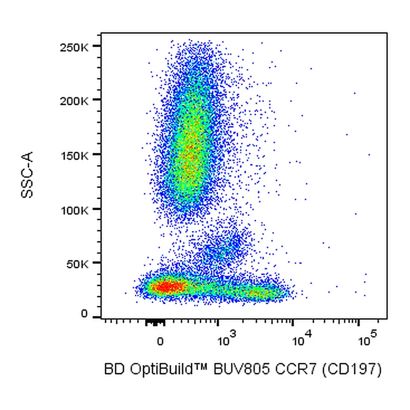 BD BUV805 Mouse Anti-Human CCR7 (CD197)