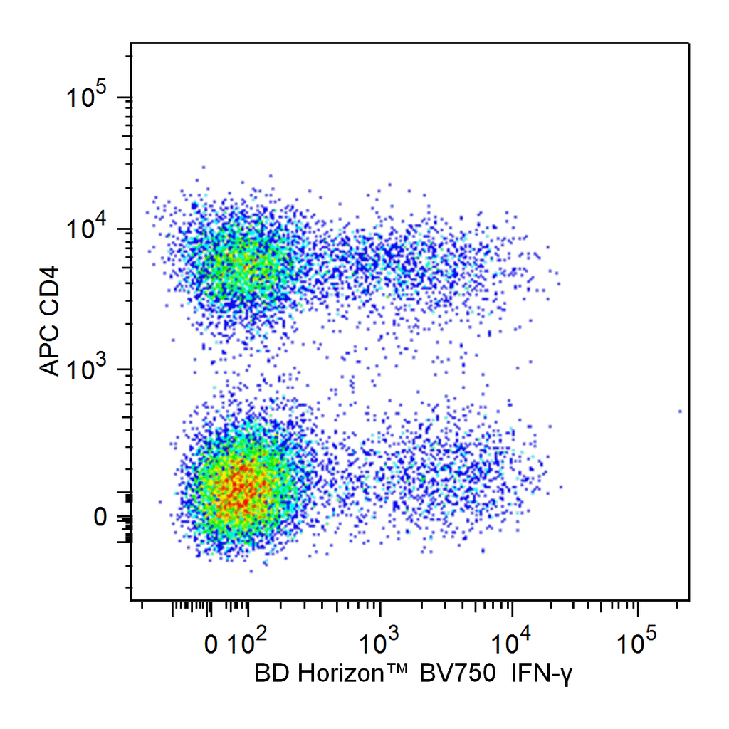BD BV750 Rat Anti-Mouse IFN-γ