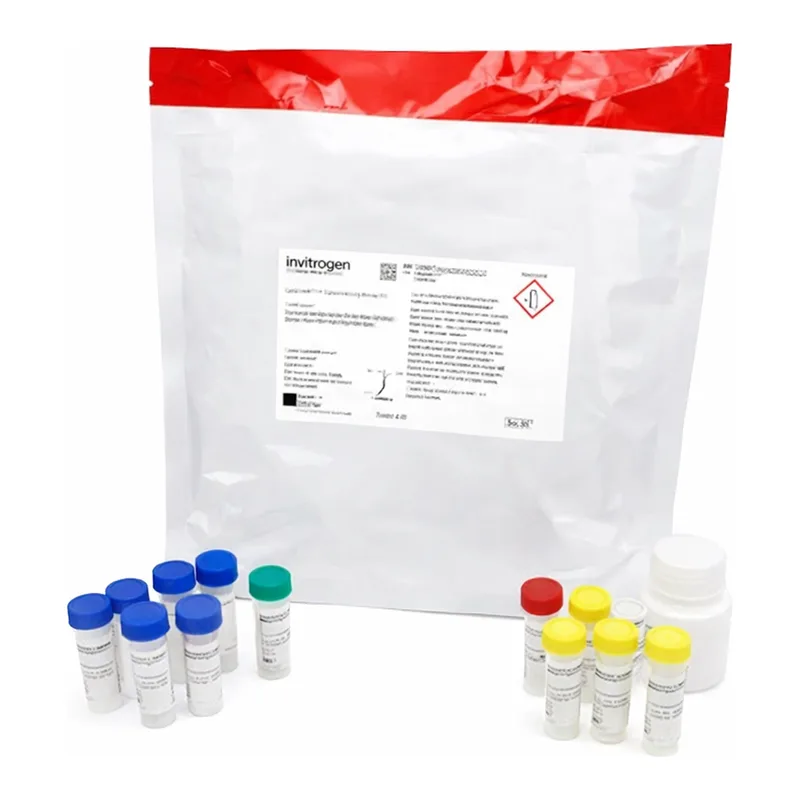 Thermo Fisher Scientific CyQUANT Cytotoxicity Assay Kit (G6PD Release Assay)