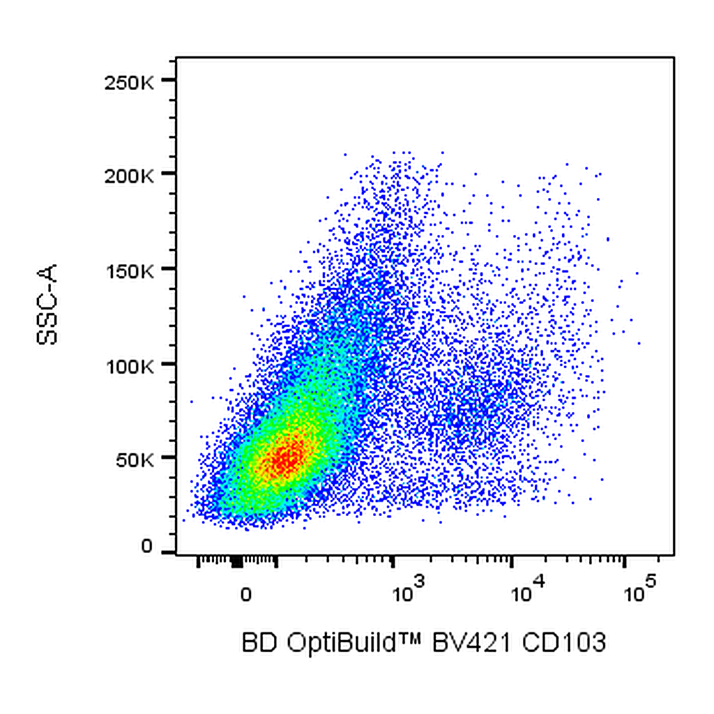 BD BV421 Mouse Anti-Rat Integrin αE2 (CD103)