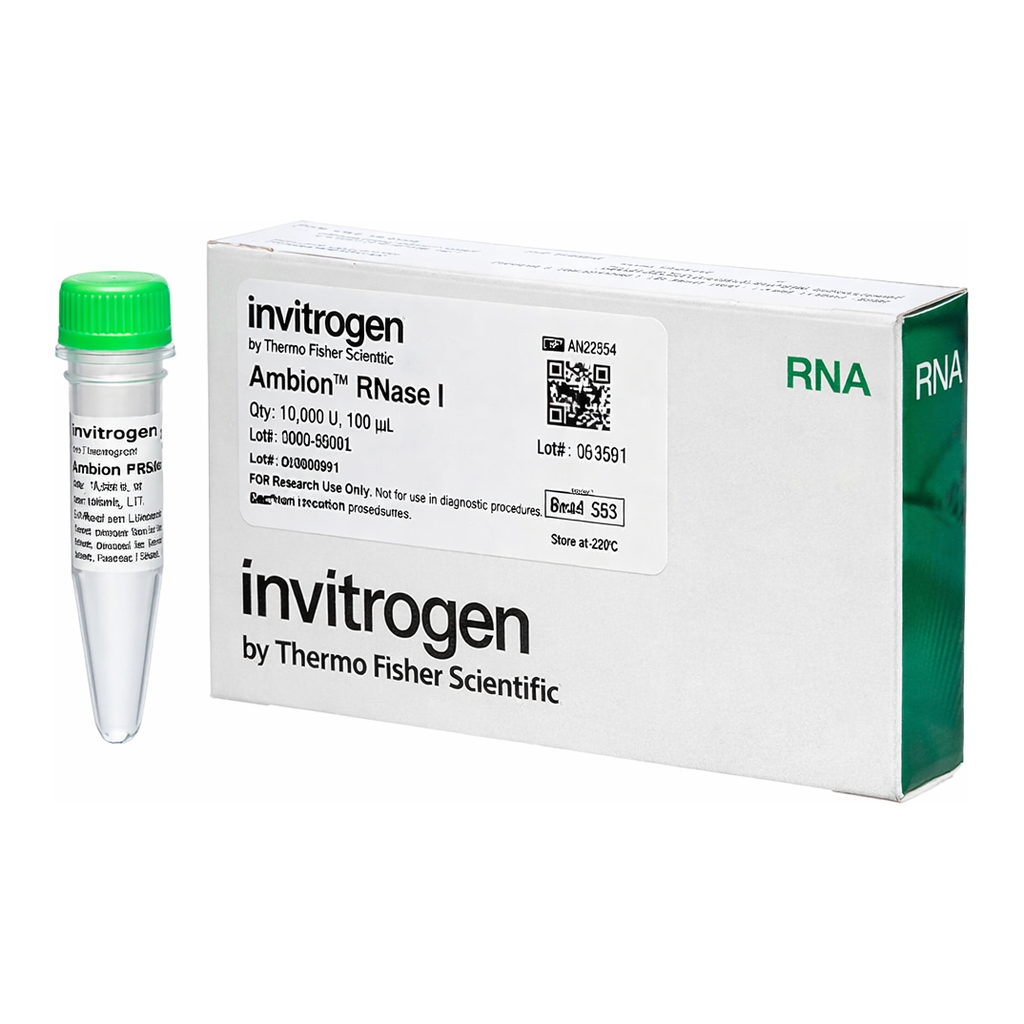 Thermo Fisher Scientific Ambion RNase I, cloned, 100 U/μL, 10,000 U