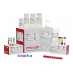 Thermo Fisher Scientific TOPO XL-2 Complete PCR Cloning Kit, with One Shot OmniMAX 2 T1<sup>R</sup> Chemically Competent E. coli Cells, 10 reactions