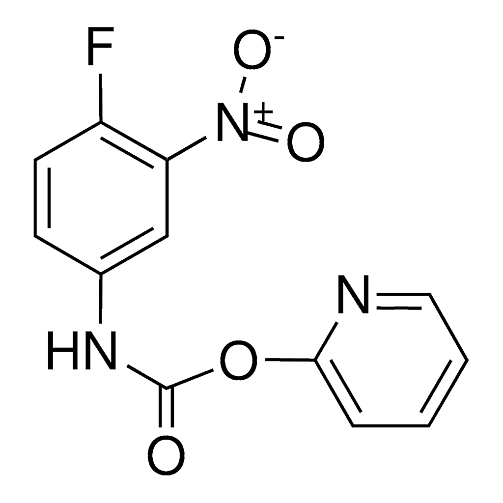 Merck 2-PYRIDYL N-(4-FLUORO-3-NITROP - 25 MG&